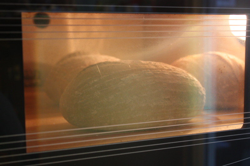 bread in a haussler oven