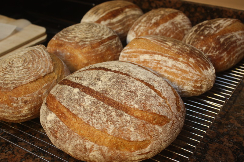 bread in a haussler oven