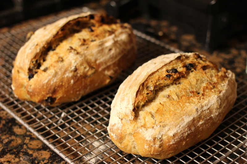 raisin pecan sourdough